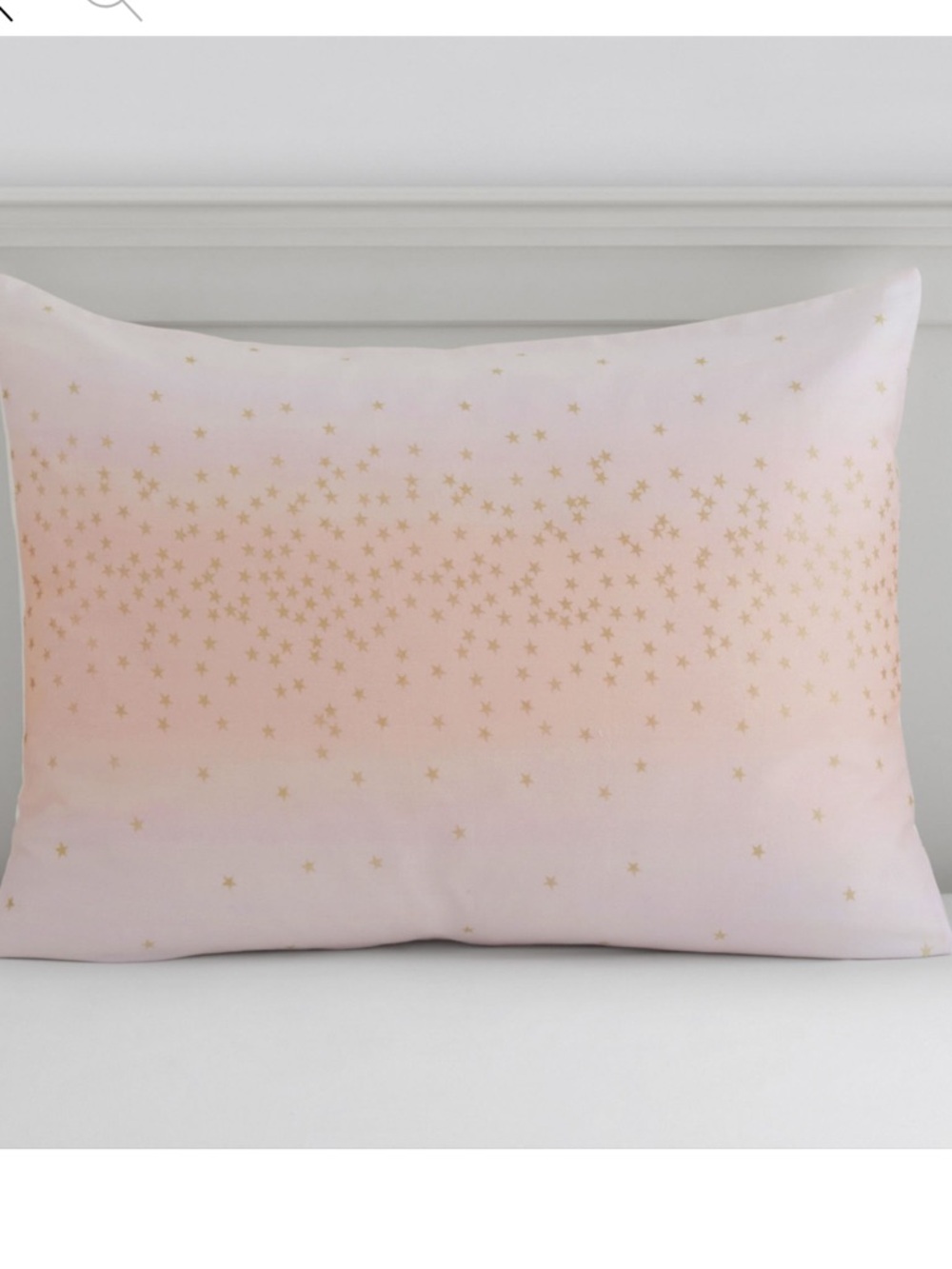 Set 2 Pottery Barn Monique Lhuillier Metallic Stardust Pillow Shams
